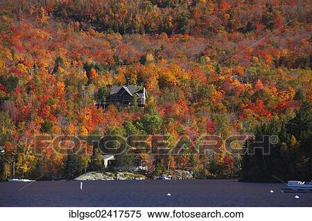 Houses in autumnal forest, Laurentians, Quebec, Canada, North America View Large Photo Image Stock Photography - Houses in autumnal forest, Laurentians, Quebec, Canada, North America. Fotosearch