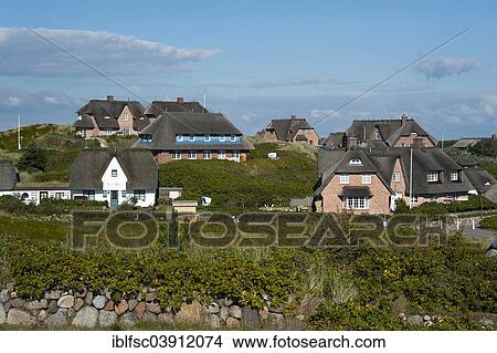 Picture - "Houses in the dunes, Rantum, Sylt, North Frisia, Schleswig-Holstein, Germany, Europe". Fotosearch