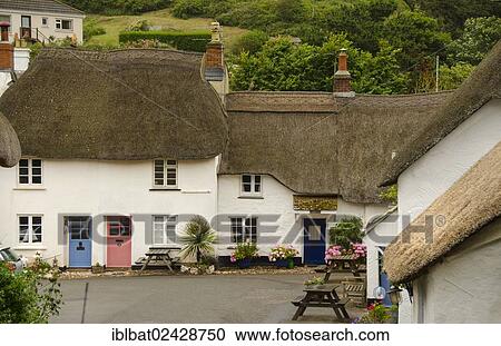 "Houses thatched with straw, Hope, Inner Hope, Devon, England, United Kingdom, Europe" View Large Photo Image Stock Image - "Houses thatched with straw, Hope, Inner Hope, Devon, England, United Kingdom, Europe". Fotosearch