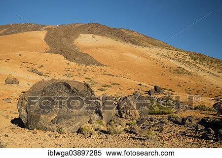 "Huevos del Teide, Eggs of Teide, lava boulders, Montana Blanca, Pico del Teide, 3718m, Parque Nacional de las Canadas del Teide, Teide National Park, UNESCO World Heritage Site, Tenerife, Canary Islands, Spain, Europe" View Large Photo Image Stock Photography - "Huevos del Teide, Eggs of Teide, lava boulders, Montana Blanca, Pico del Teide, 3718m, Parque Nacional de las Canadas del Teide, Teide National Park, UNESCO World Heritage Site, Tenerife, Canary Islands, Spain, Europe". Fotosearch