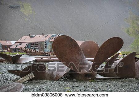 "Huge old ships' propellors lying between the houses of the former Stromness whaling station, abandoned in 1965, King Edward Bay, South Georgia and the South Sandwich Islands, Antarctica" View Large Photo Image Stock Photo - "Huge old ships' propellors lying between the houses of the former Stromness whaling station, abandoned in 1965, King Edward Bay, South Georgia and the South Sandwich Islands, Antarctica". Fotosearch