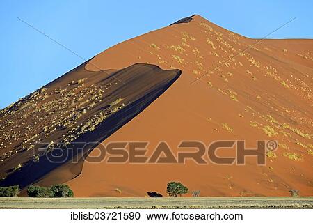"Huge sand dune in the evening light, Sossusvlei, Namib Desert, Namib Naukluft Park, Namibia, Africa" View Large Photo Image Stock Image - "Huge sand dune in the evening light, Sossusvlei, Namib Desert, Namib Naukluft Park, Namibia, Africa". Fotosearch