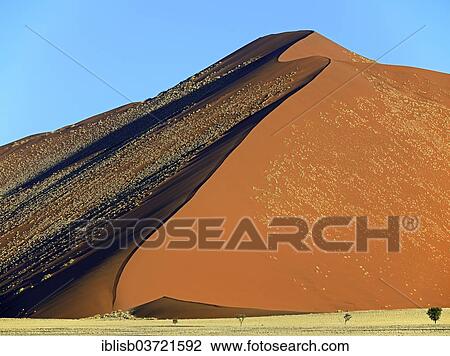 "Huge sand dune in the evening light, Sossusvlei, Namib Desert, Namib Naukluft Park, Namibia, Africa" View Large Photo Image Stock Image - "Huge sand dune in the evening light, Sossusvlei, Namib Desert, Namib Naukluft Park, Namibia, Africa". Fotosearch