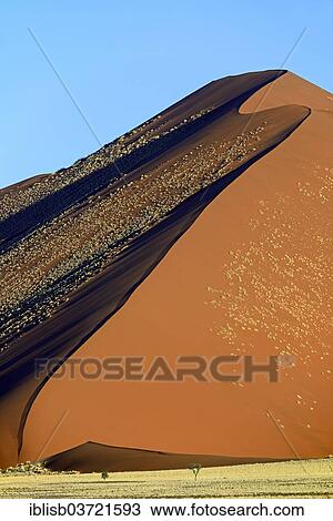 "Huge sand dune in the evening light, Sossusvlei, Namib Desert, Namib Naukluft Park, Namibia, Africa" View Large Photo Image Stock Image - "Huge sand dune in the evening light, Sossusvlei, Namib Desert, Namib Naukluft Park, Namibia, Africa". Fotosearch