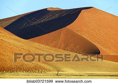 "Huge sand dunes in evening light, Sossusvlei, Namib Desert, Namib Naukluft Park, Namibia, Africa" View Large Photo Image Stock Photo - "Huge sand dunes in evening light, Sossusvlei, Namib Desert, Namib Naukluft Park, Namibia, Africa". Fotosearch