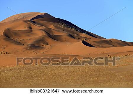 "Huge sand dunes in the morning light, Sossusvlei, Namib Desert, Namib Naukluft Park, Namibia, Africa" View Large Photo Image Stock Photo - "Huge sand dunes in the morning light, Sossusvlei, Namib Desert, Namib Naukluft Park, Namibia, Africa". Fotosearch