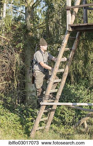"Hunter climbing a raised hide, Offheim, Limburg an der Lahn, Hesse, Germany, Europe" View Large Photo Image Stock Image - "Hunter climbing a raised hide, Offheim, Limburg an der Lahn, Hesse, Germany, Europe". Fotosearch