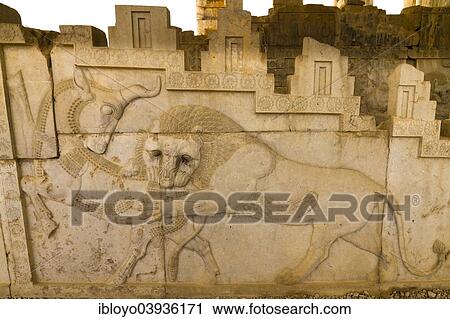 "Hunting lion, relief of the Apadana, Persepolis, Fars, Iran, Asia" View Large Photo Image Stock Image - "Hunting lion, relief of the Apadana, Persepolis, Fars, Iran, Asia". Fotosearch