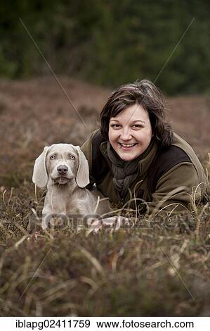 Huntress with Weimaraner puppy, portrait View Large Photo Image Stock Photo - Huntress with Weimaraner puppy, portrait. Fotosearch