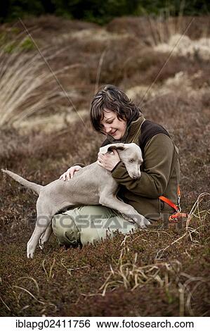 Huntress with Weimaraner puppy View Large Photo Image Stock Photograph - Huntress with Weimaraner puppy. Fotosearch