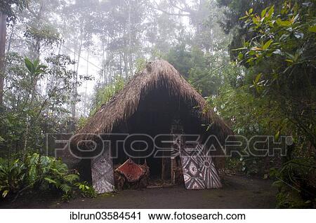 Stock Image - "Hut in a tribal village, Highlands, Papua New Guinea, Oceania". Fotosearch