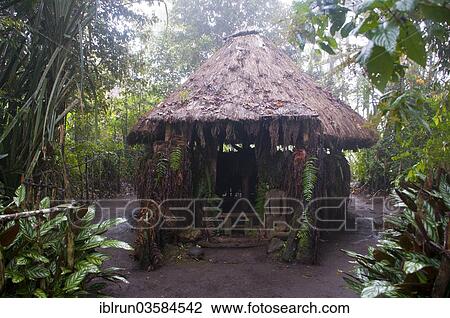 "Hut in a tribal village, Highlands, Papua New Guinea, Oceania" View Large Photo Image Stock Image - "Hut in a tribal village, Highlands, Papua New Guinea, Oceania". Fotosearch