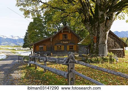 Stock Image - "Hut on an alpine pasture, Tschengla, Burserberg, Brandnertal, Vorarlberg, Austria, Europe". Fotosearch