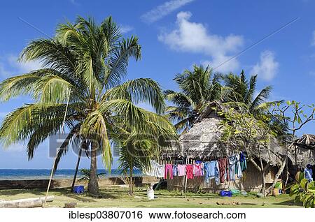 "Hut under palm trees, village of the Kuna people, Nalunega, San Blas Islands, Panama, Caribbean, North America" View Large Photo Image Stock Photograph - "Hut under palm trees, village of the Kuna people, Nalunega, San Blas Islands, Panama, Caribbean, North America". Fotosearch