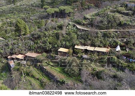 "Huts built on the cliff, Las Tricias, La Palma, Canary Islands, Spain, Europe" View Large Photo Image Stock Photo - "Huts built on the cliff, Las Tricias, La Palma, Canary Islands, Spain, Europe". Fotosearch