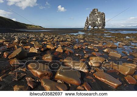 "Hvitserkur"""" basalt rock in the morning light with copper-coloured rocks at the front, on the banks of Hunafjordur fjord, Iceland, Europe" View Large Photo Image Stock Photo - "Hvitserkur"""" basalt rock in the morning light with copper-coloured rocks at the front, on the banks of Hunafjordur fjord, Iceland, Europe". Fotosearch