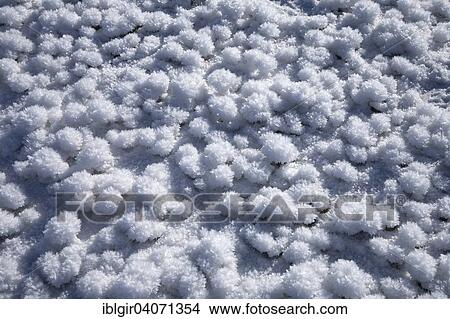 Picture - Ice crystals on snow-covered meadow. Fotosearch