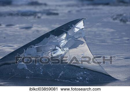 "Ice, detail, Jokulsarlon, Iceland, Europe" View Large Photo Image Stock Image - "Ice, detail, Jokulsarlon, Iceland, Europe". Fotosearch