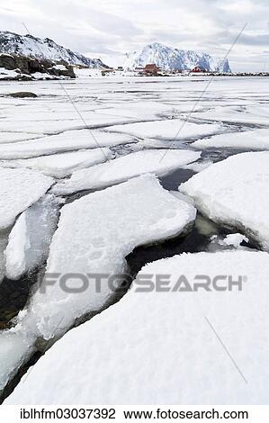 "Ice floes on a fjord in a northern winter landscape, Vestvagoy, Lofoten, Nordland, Northern Norway, Norway, Europe" View Large Photo Image Stock Image - "Ice floes on a fjord in a northern winter landscape, Vestvagoy, Lofoten, Nordland, Northern Norway, Norway, Europe". Fotosearch