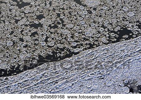 Stock Photo - "Ice floes on the Elbe River, Geesthacht, Schleswig-Holstein, Germany, Europe". Fotosearch