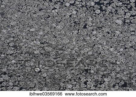 "Ice floes on the Elbe River, Geesthacht, Schleswig-Holstein, Germany, Europe" View Large Photo Image Stock Photograph - "Ice floes on the Elbe River, Geesthacht, Schleswig-Holstein, Germany, Europe". Fotosearch