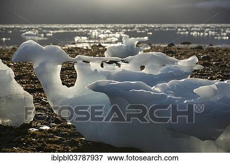 "Ice formations, College Fjord, Prince William Sound, Alaska" View Large Photo Image Stock Photo - "Ice formations, College Fjord, Prince William Sound, Alaska". Fotosearch