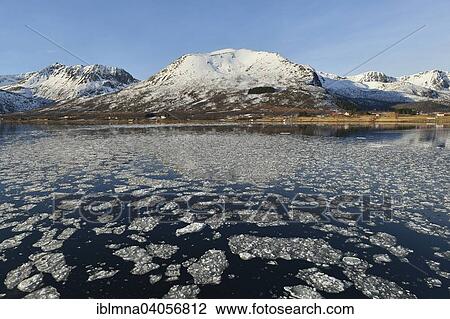"Ice pieces in the water of the Risoysund in front of snowy mountainous coastline, Andoya, Vesteralen, Norway, Europe" View Large Photo Image Stock Image - "Ice pieces in the water of the Risoysund in front of snowy mountainous coastline, Andoya, Vesteralen, Norway, Europe". Fotosearch