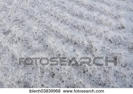 "Ice structures on the beach, Langeoog, East Frisia, Lower Saxony, Germany, Europe" View Large Photo Image Stock Photo - "Ice structures on the beach, Langeoog, East Frisia, Lower Saxony, Germany, Europe". Fotosearch