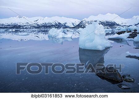 "Icebergs at College Fjord, Anchorage, Alaska, United States, North America" View Large Photo Image Stock Image - "Icebergs at College Fjord, Anchorage, Alaska, United States, North America". Fotosearch