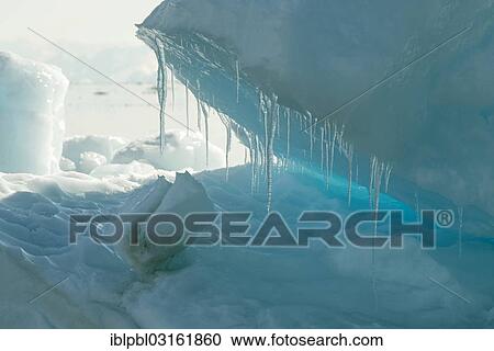 "Icebergs at College Fjord, Anchorage, Alaska, United States, North America" View Large Photo Image Stock Image - "Icebergs at College Fjord, Anchorage, Alaska, United States, North America". Fotosearch