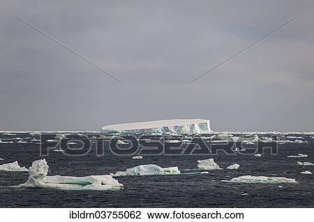 "Icebergs floating in the South Atlantic Ocean, Weddell Sea, Antarctic Peninsula, Antarctica" View Large Photo Image Stock Image - "Icebergs floating in the South Atlantic Ocean, Weddell Sea, Antarctic Peninsula, Antarctica". Fotosearch