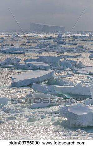 "Icebergs floating in the South Atlantic Ocean, Weddell Sea, Antarctic Peninsula, Antarctica" View Large Photo Image Stock Image - "Icebergs floating in the South Atlantic Ocean, Weddell Sea, Antarctic Peninsula, Antarctica". Fotosearch