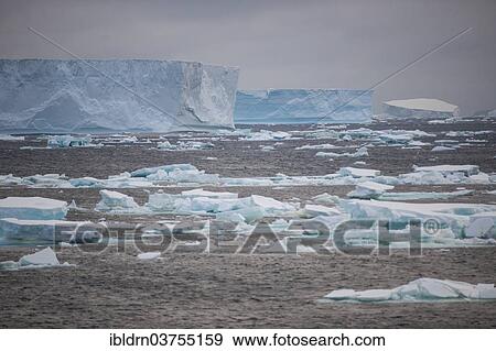 "Icebergs floating in the South Atlantic Ocean, Weddell Sea, Antarctic Peninsula, Antarctica" View Large Photo Image Stock Photo - "Icebergs floating in the South Atlantic Ocean, Weddell Sea, Antarctic Peninsula, Antarctica". Fotosearch