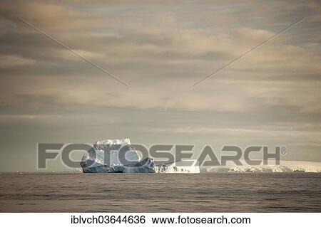 Stock Photograph - "Icebergs in the morning light, Antarctic Peninsula, Antarctica". Fotosearch