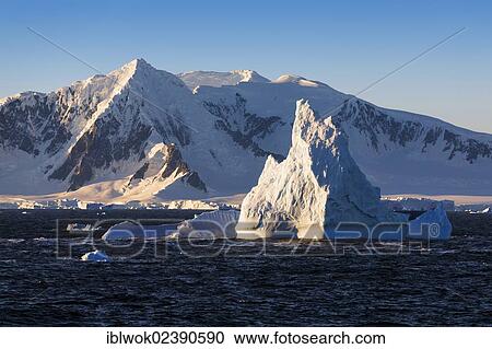 "Icebergs off Adelaide Island, Antarctic Peninsula, Antarctica" View Large Photo Image Stock Image - "Icebergs off Adelaide Island, Antarctic Peninsula, Antarctica". Fotosearch