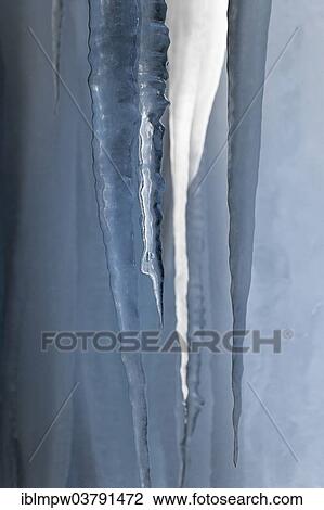 "Icicles in the sunlight, Switzerland, Europe" View Large Photo Image Stock Image - "Icicles in the sunlight, Switzerland, Europe". Fotosearch
