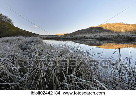 "Icy morning frost, Scottish Highlands, Loch Dorchardt, Scotland, United Kingdom, Europe" View Large Photo Image Picture - "Icy morning frost, Scottish Highlands, Loch Dorchardt, Scotland, United Kingdom, Europe". Fotosearch