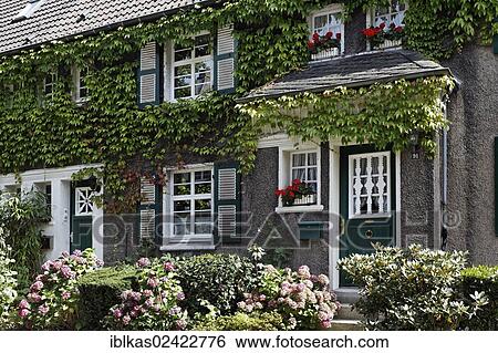 Idyllic townhouse from the 1920s, ivy covered, historic residential area of Margarethenhoehe Garden Town, Essen, Ruhr Area, North Rhine-Westphalia, Germany, Europe View Large Photo Image Stock Photograph - Idyllic townhouse from the 1920s, ivy covered, historic residential area of Margarethenhoehe Garden Town, Essen, Ruhr Area, North Rhine-Westphalia, Germany, Europe. Fotosearch