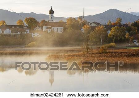 Iffeldorf, lake Sengsee in the early morning, Osterseen lakes, Fuenfseenland region, Upper Bavaria, Bavaria, Germany, Europe View Large Photo Image Stock Image - Iffeldorf, lake Sengsee in the early morning, Osterseen lakes, Fuenfseenland region, Upper Bavaria, Bavaria, Germany, Europe. Fotosearch