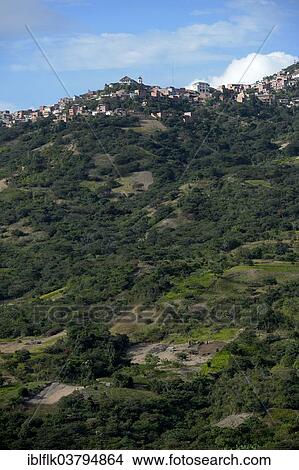 "Illegal Coca fields, Coca bushes (Erythroxylum coca) in the Yungas, Coroico, Department of La Paz, Bolivia, South America" View Large Photo Image Picture - "Illegal Coca fields, Coca bushes (Erythroxylum coca) in the Yungas, Coroico, Department of La Paz, Bolivia, South America". Fotosearch