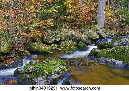 "Ilse mountain stream, autumn, Ilse valley, Harz National Park, Saxony-Anhalt, Germany, Europe" View Large Photo Image Stock Image - "Ilse mountain stream, autumn, Ilse valley, Harz National Park, Saxony-Anhalt, Germany, Europe". Fotosearch
