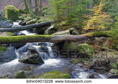 "Ilse mountain stream, autumn, Ilse valley, Harz National Park, Saxony-Anhalt, Germany, Europe" View Large Photo Image Stock Photo - "Ilse mountain stream, autumn, Ilse valley, Harz National Park, Saxony-Anhalt, Germany, Europe". Fotosearch