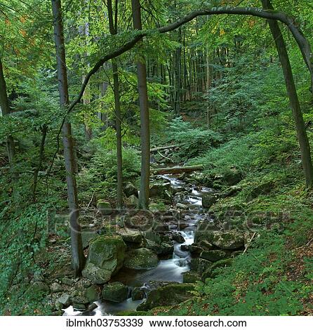 "Ilse river, Harz, Ilsenburg, Saxony-Anhalt, Germany, Europe" View Large Photo Image Stock Photo - "Ilse river, Harz, Ilsenburg, Saxony-Anhalt, Germany, Europe". Fotosearch