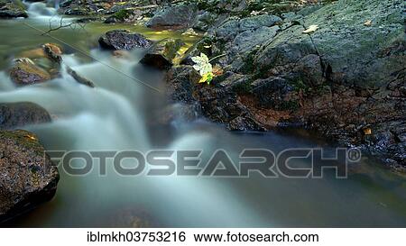 "Ilse river, Harz, Ilsenburg, Saxony-Anhalt, Germany, Europe" View Large Photo Image Stock Photograph - "Ilse river, Harz, Ilsenburg, Saxony-Anhalt, Germany, Europe". Fotosearch