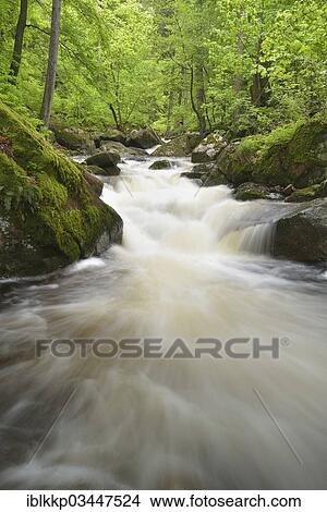 "Ilse River, Ilse valley, Ilsenburg, Saxony-Anhalt, Germany, Europe" View Large Photo Image Picture - "Ilse River, Ilse valley, Ilsenburg, Saxony-Anhalt, Germany, Europe". Fotosearch