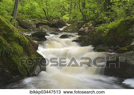 "Ilse River, Ilse valley, Ilsenburg, Saxony-Anhalt, Germany, Europe" View Large Photo Image Stock Image - "Ilse River, Ilse valley, Ilsenburg, Saxony-Anhalt, Germany, Europe". Fotosearch