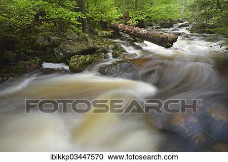 Stock Image - "Ilse River, Ilse valley, Ilsenburg, Saxony-Anhalt, Germany, Europe". Fotosearch