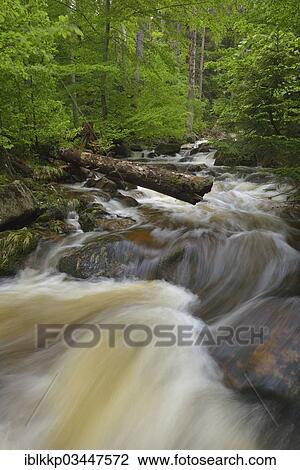 "Ilse River, Ilse valley, Ilsenburg, Saxony-Anhalt, Germany, Europe" View Large Photo Image Stock Image - "Ilse River, Ilse valley, Ilsenburg, Saxony-Anhalt, Germany, Europe". Fotosearch