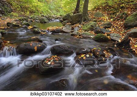 "Ilse River in autumn, Ilsenburg, Harz, Saxony-Anhalt, Germany, Europe" View Large Photo Image Stock Image - "Ilse River in autumn, Ilsenburg, Harz, Saxony-Anhalt, Germany, Europe". Fotosearch