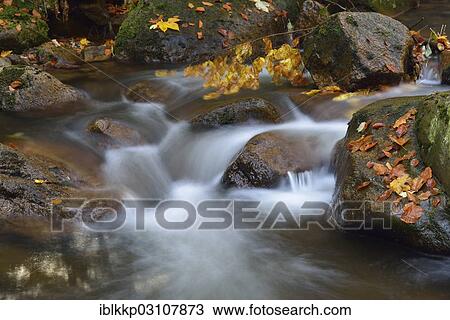 Stock Image - "Ilse River in autumn, Ilsenburg, Harz, Saxony-Anhalt, Germany, Europe". Fotosearch